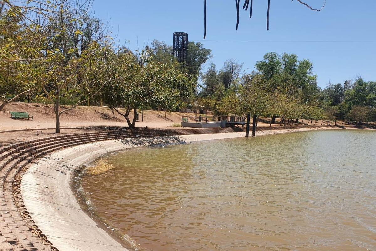 Por falta de oxigenación mueren peces en la Laguna del Náinari
