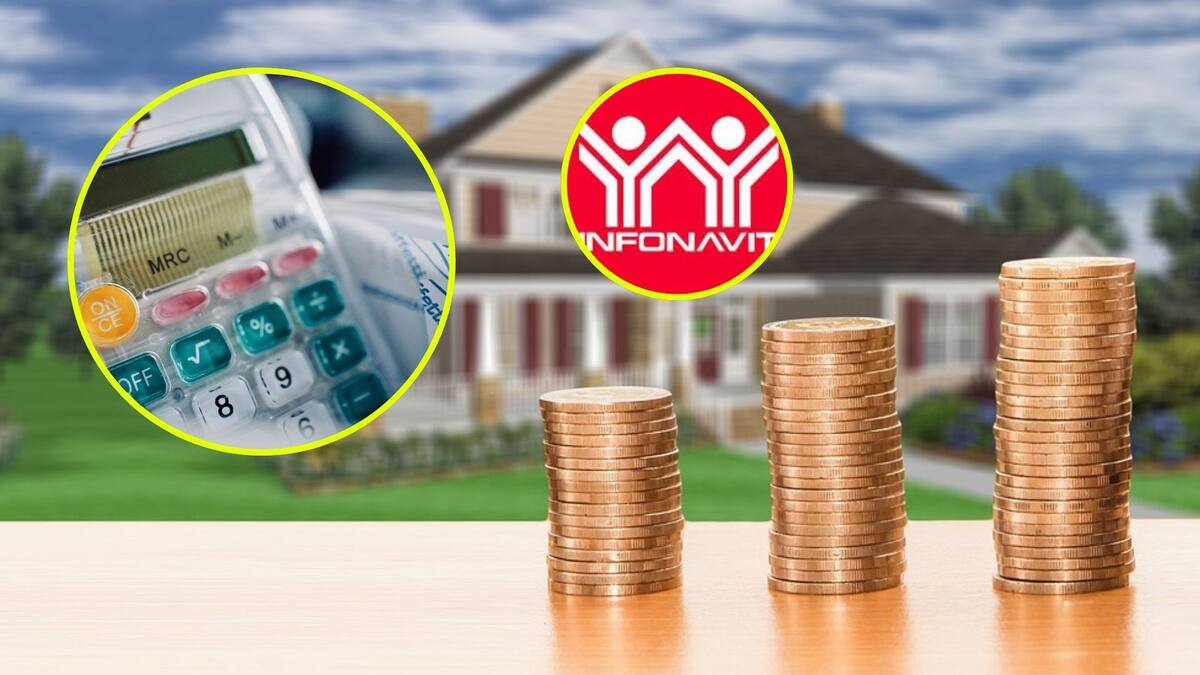 Dependiendo del año en que se comenzó a cotizar ante el Infonavit, el dinero se puede regresar en una sola exhibición o transferirse a la Afore para sumarse a la pensión que se recibirá