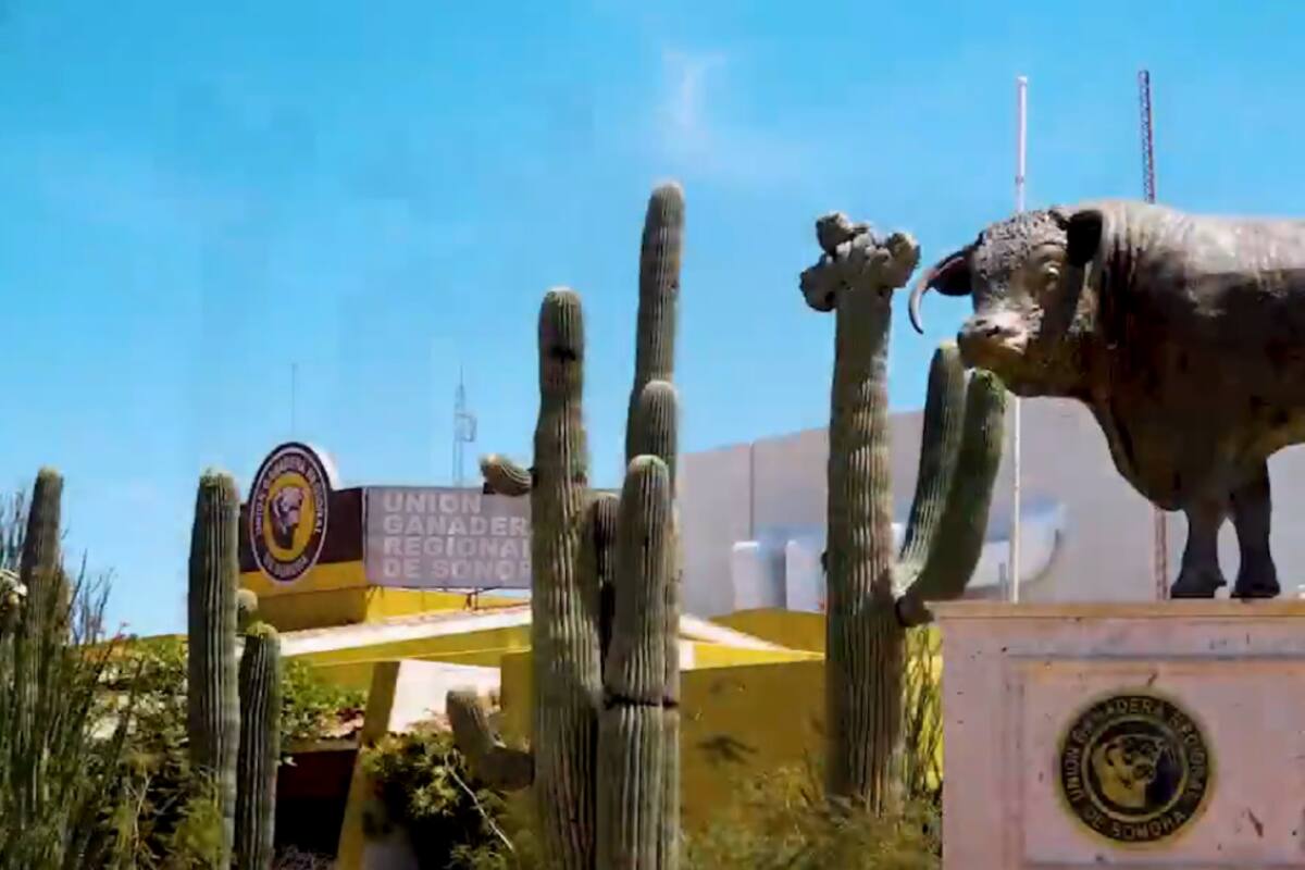 Eligen hoy al nuevo dirigente de la Unión Ganadera de Sonora