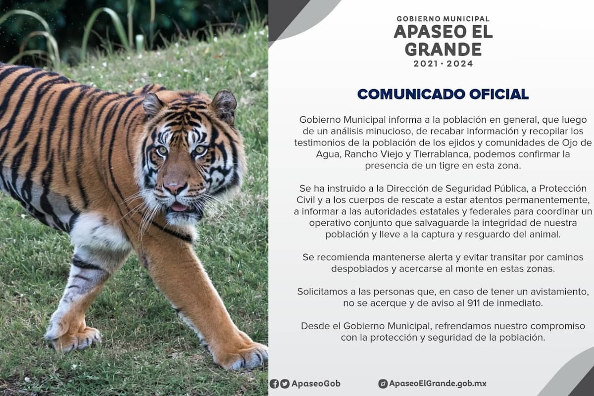 ¡TIGRE SUELTO!: Alertan a pobladores de Guanajuato