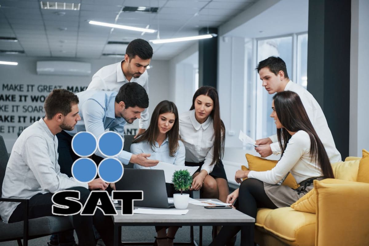 Diferencia entre persona física y persona moral ¿Cuándo debe hacer su declaración anual cada una?