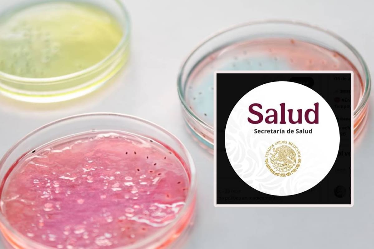 Salud confirma 33 casos de ciclosporiasis en México e investiga 16 hoteles de Quintana Roo