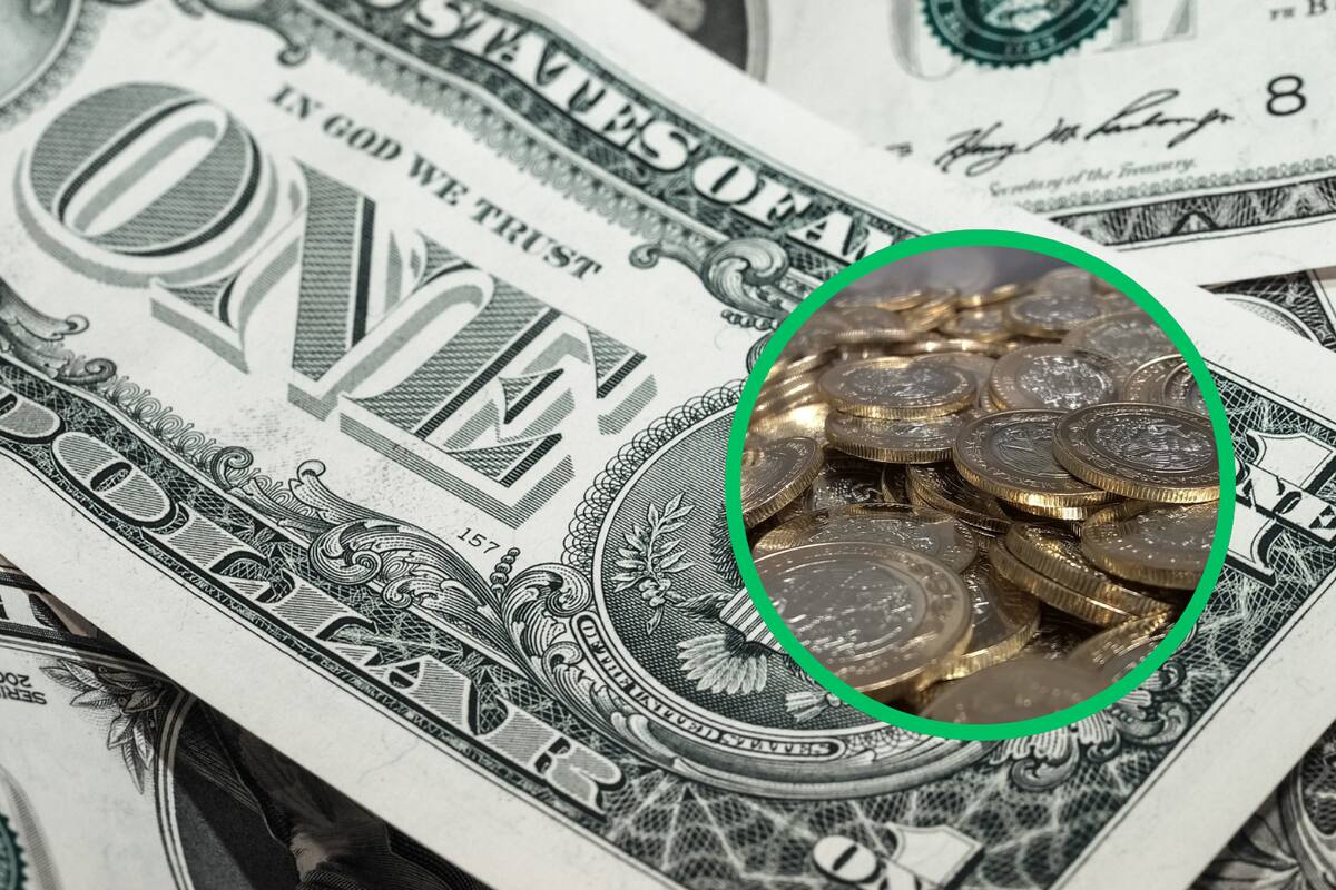 Dólar vs Peso: Así se cotiza el dólar en los principales bancos hoy domingo 1 de diciembre de 2024