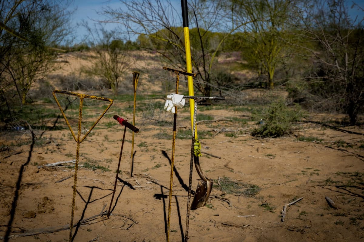 Suman 17 víctimas identificadas en hallazgos del Miguel Alemán