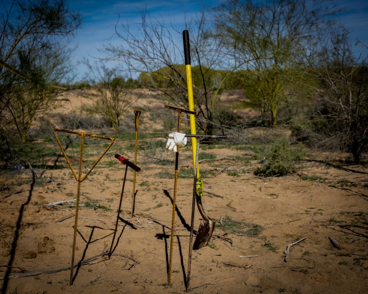 Foto: Javier Gallegos