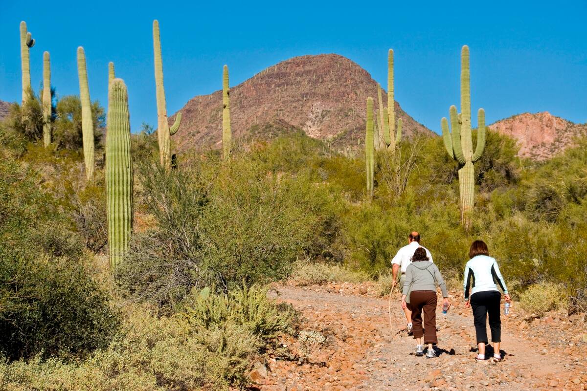 Realiza un fascinante recorrido por la Colina Tumamoc
