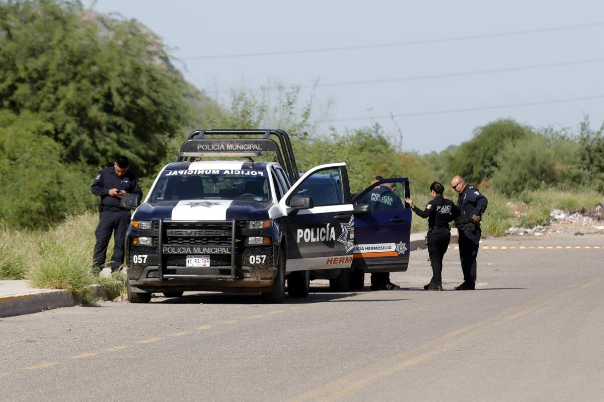 Ladrones se llevan hasta el perro de una empresa