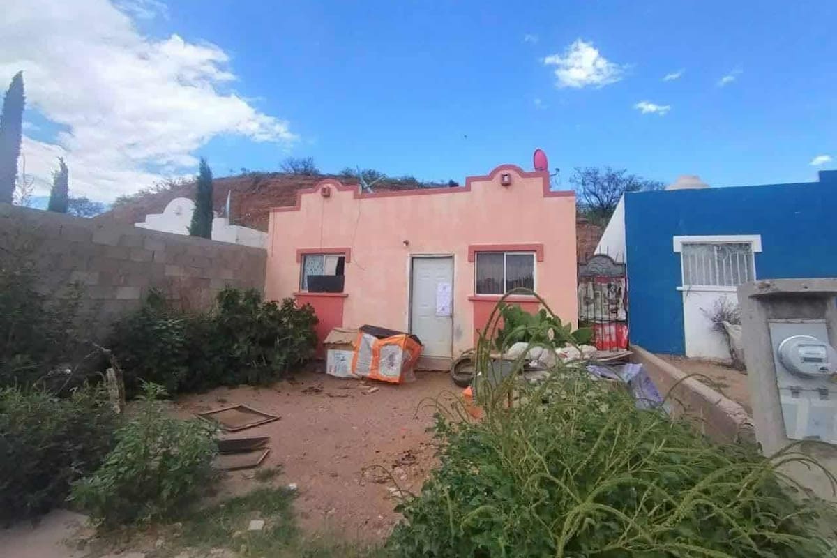 Rescatan a 54 canes de un domicilio ubicado en Nogales
