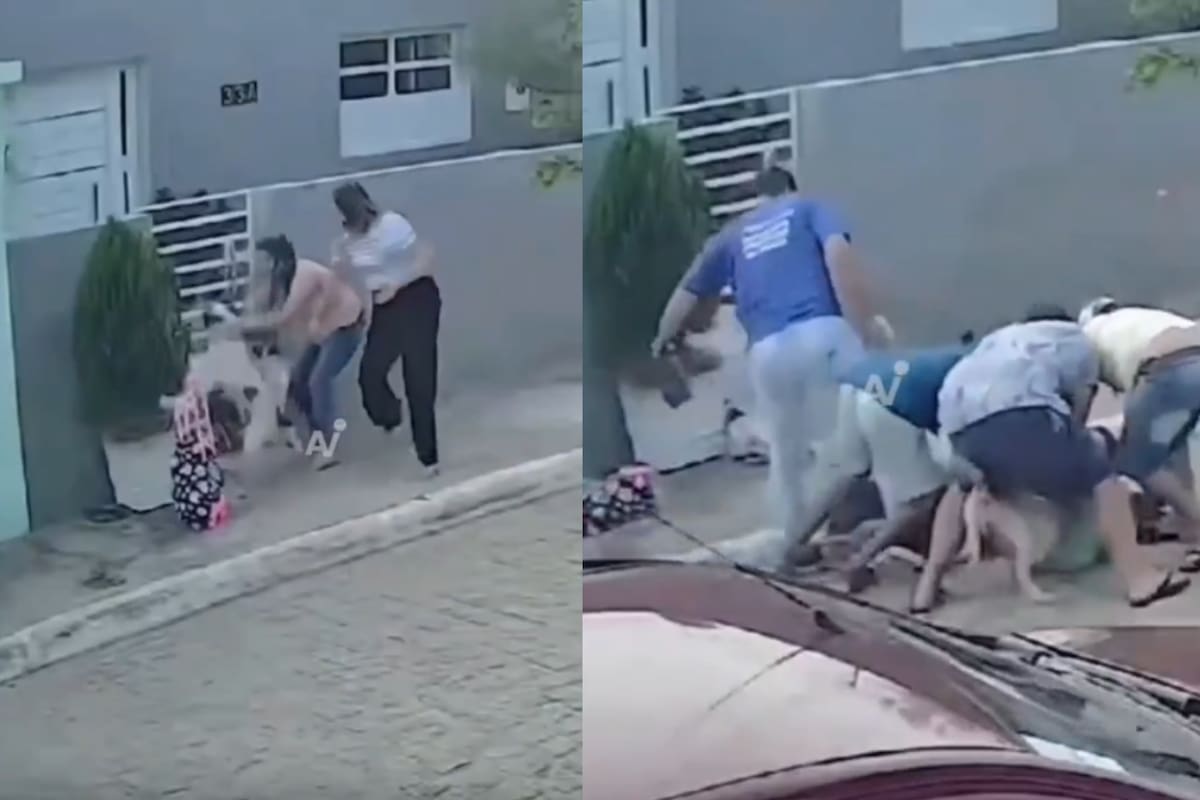 Perro ataca a dos niñas mientras esperaban el autobús escolar en Brasil