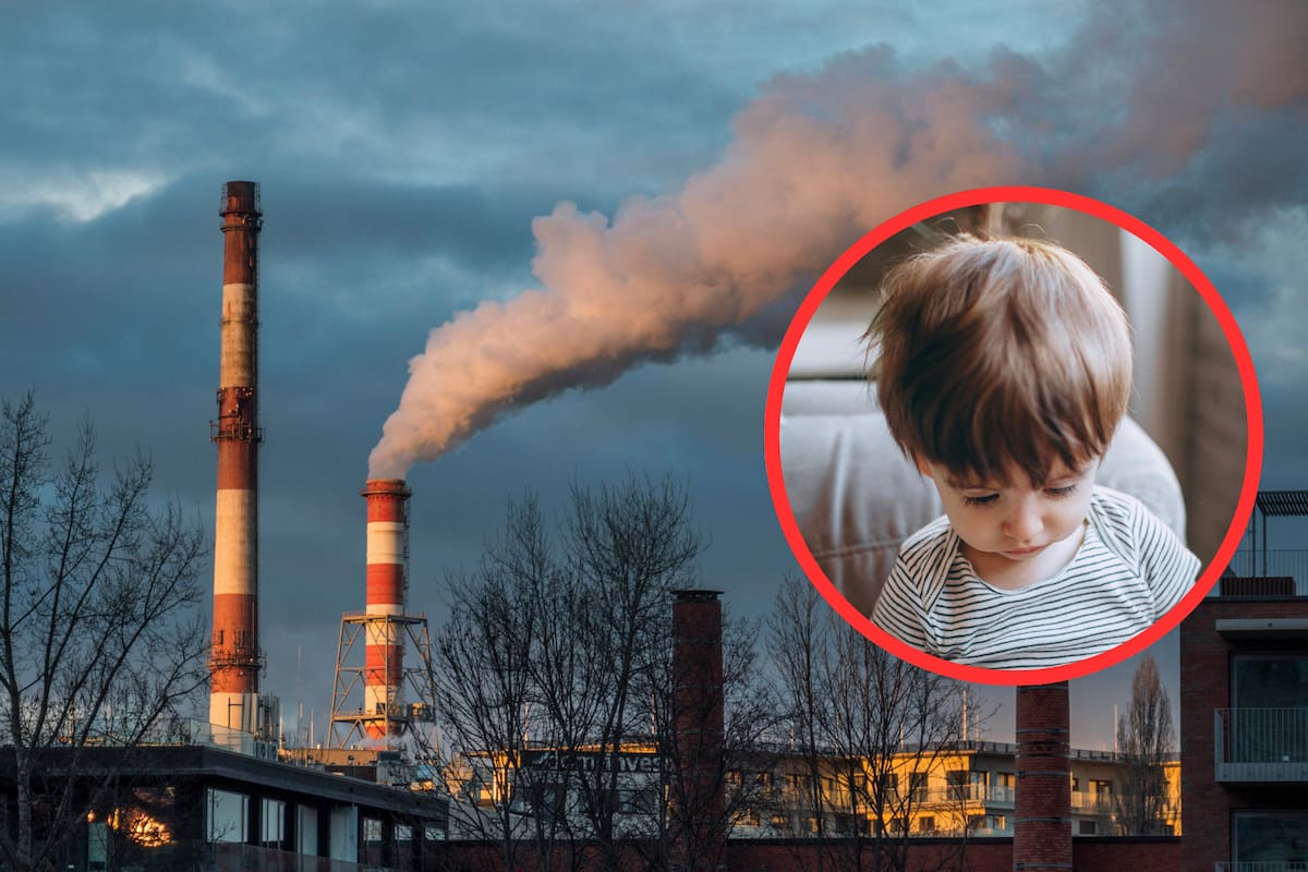 La contaminación del aire en el embarazo podría elevar la presión arterial en la infancia