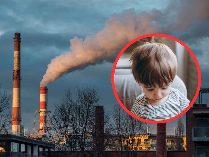La contaminación del aire en el embarazo podría elevar la presión arterial en la infancia