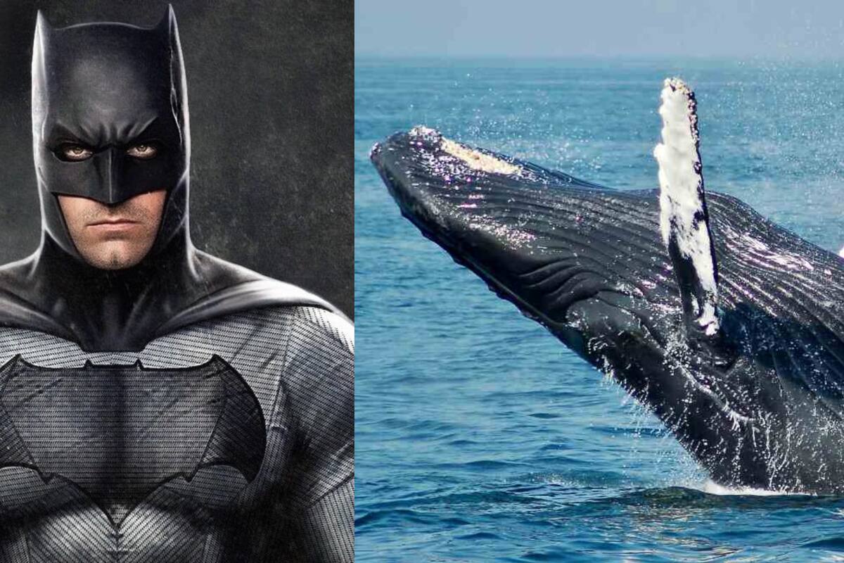 Efemérides del 23 de julio: ¿Qué pasó un día como hoy?