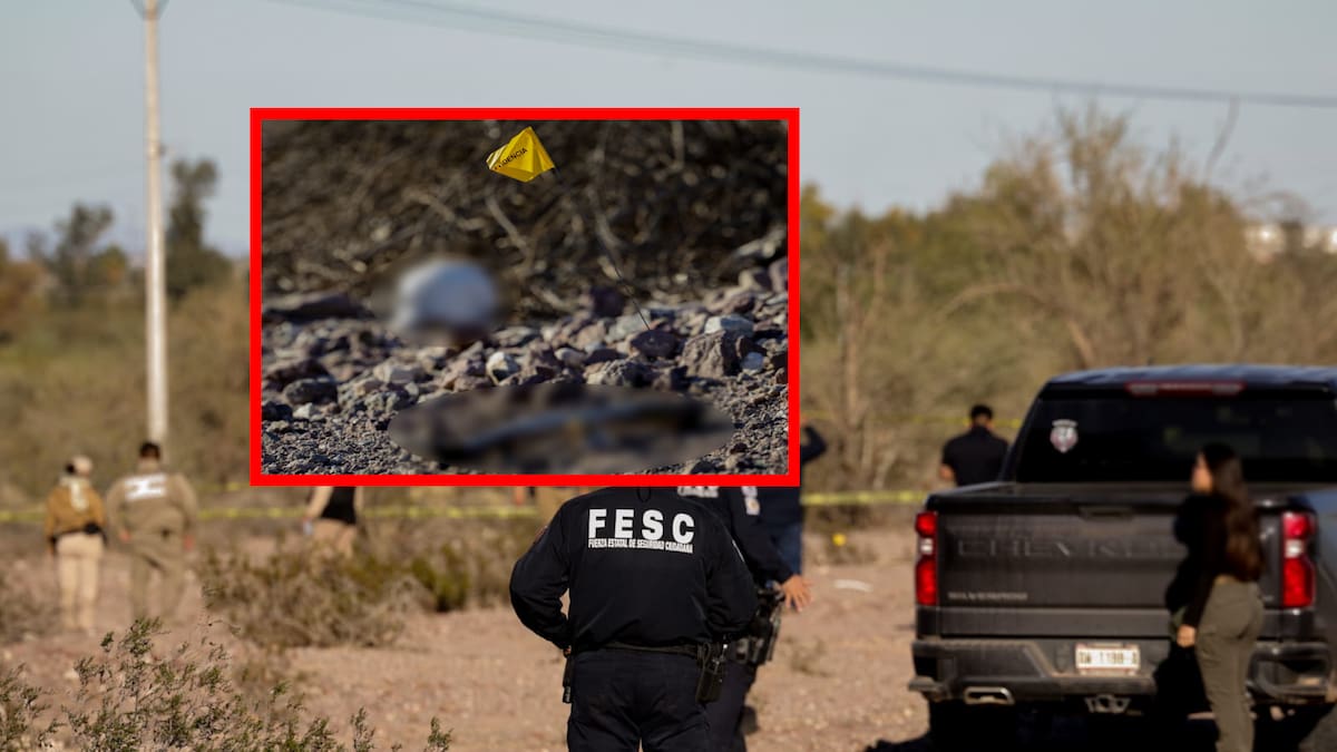 Localizan 14 restos humanos en zona desértica