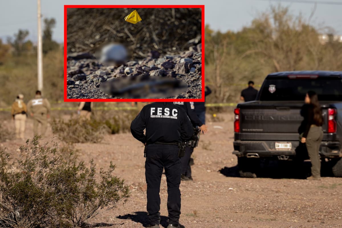 Localizan 14 restos humanos en zona desértica