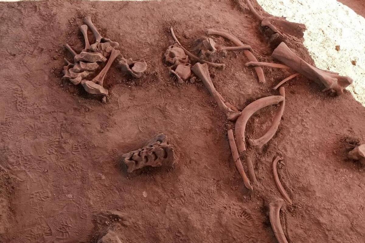Estos son los hallazgos arqueológicos más impactantes en México del 2020