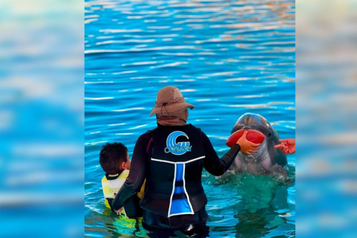 Álamos lleva a 10 niñas y niños al Delfinario Sonora para recibir terapia asistida con delfines