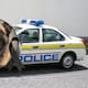 Un agente canino de Estados Unidos falleció tras ser dejada dentro de una patrulla durante una ola de calor en Carolina del Norte