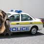 Un agente canino de Estados Unidos falleció tras ser dejada dentro de una patrulla durante una ola de calor en Carolina del Norte