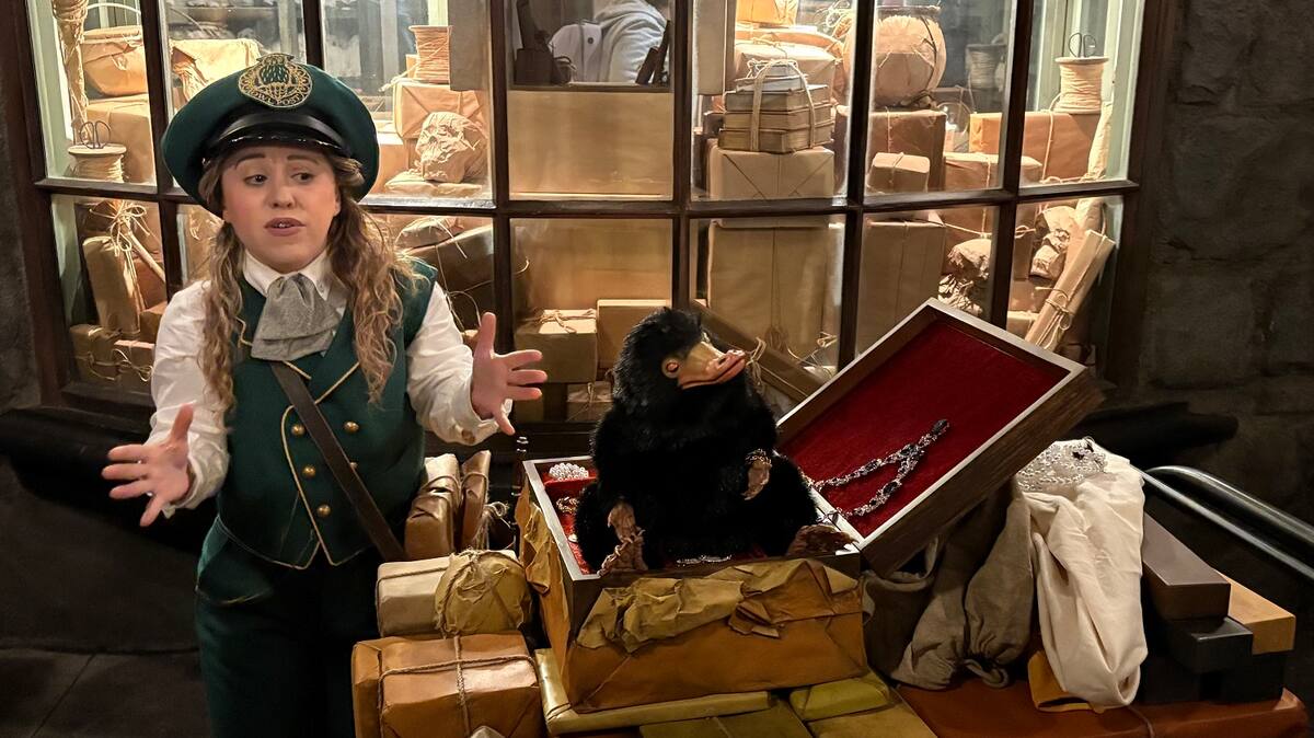 Los Universal Fan Fest Nights son un evento de noche que cuenta con experiencias inmersivas únicas para diferentes universos como The Wizarding World of Harry Potter.