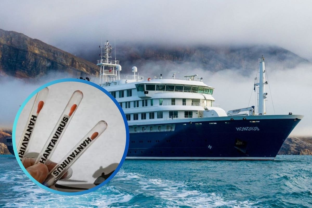 ¿El Hantavirus es tan peligroso como el Covid-19? Esto dice la OMS tras la propagación en un crucero donde se reporta la muerte de 3 personas