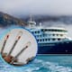 ¿El Hantavirus es tan peligroso como el Covid-19? Esto dice la OMS tras la propagación en un crucero donde se reporta la muerte de 3 personas