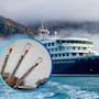 ¿El Hantavirus es tan peligroso como el Covid-19? Esto dice la OMS tras la propagación en un crucero donde se reporta la muerte de 3 personas
