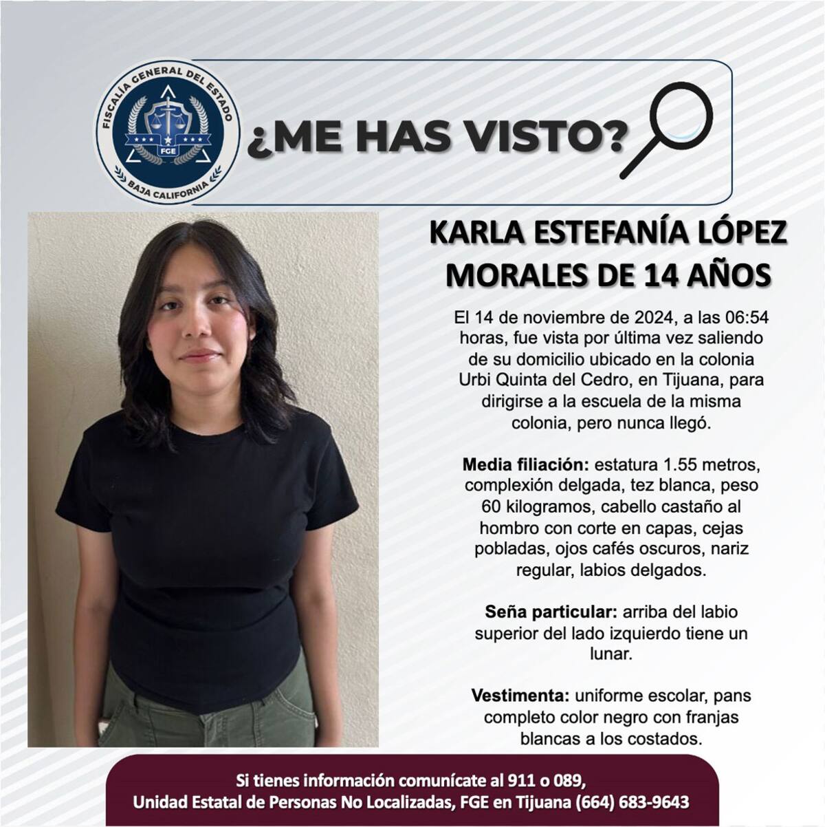 Pesquisa de Karla Estefanía López Morales.