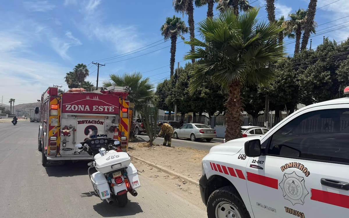Una mujer de aproximadamente 50 años salió ilesa tras la volcadura de su vehículo en el bulevar Los Olivos Norte, donde solo se reportaron daños materiales.
Fotos: Border Zoom.