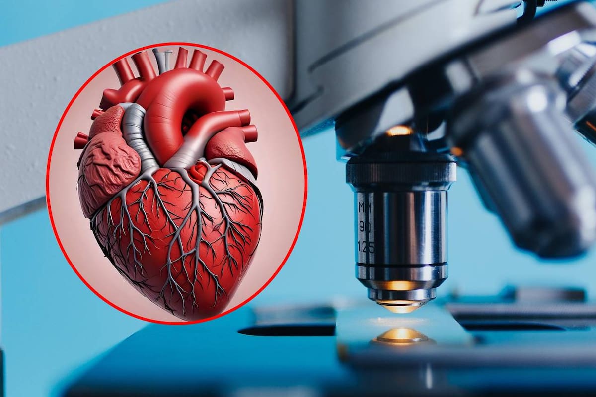 Así afecta la edad biológica a tu salud, según investigadores