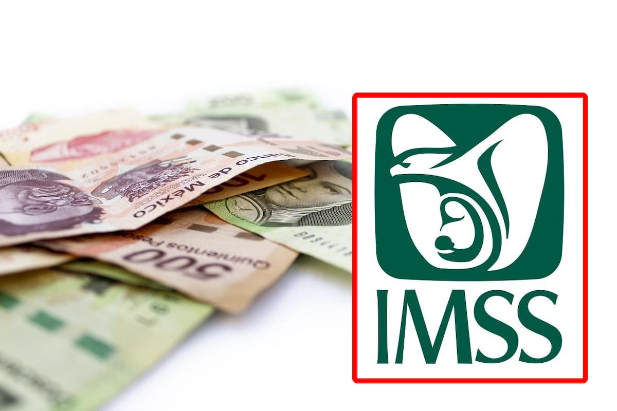 Pensionados por invalidez del IMSS anula la de cesantía o vejez: Experta explica las razones y consecuencias