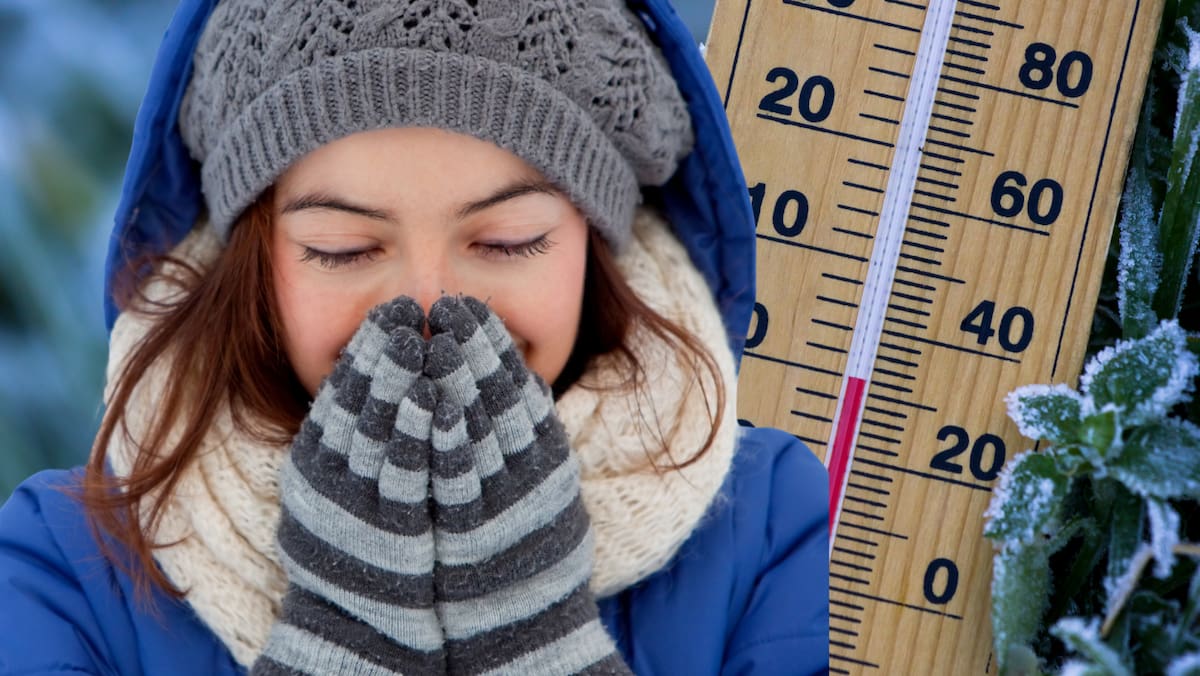 El frente frío número 5 ingresa a México; estos son los estados que enfrentarán las temperaturas más bajas, llegando hasta los 0 grados.