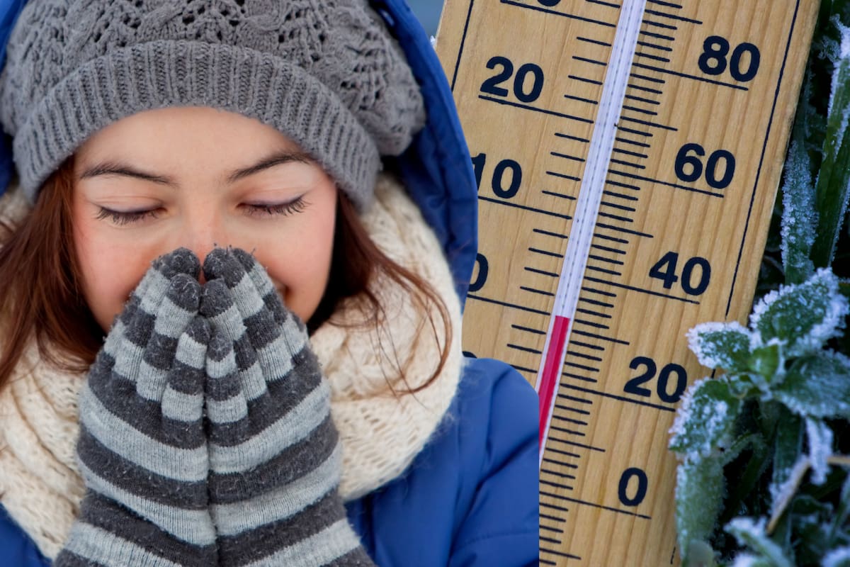 ¡Llegó el frente frío 5! Estos son los estados que enfrentarán las temperaturas más bajas, llegando hasta los 0 grados, en México