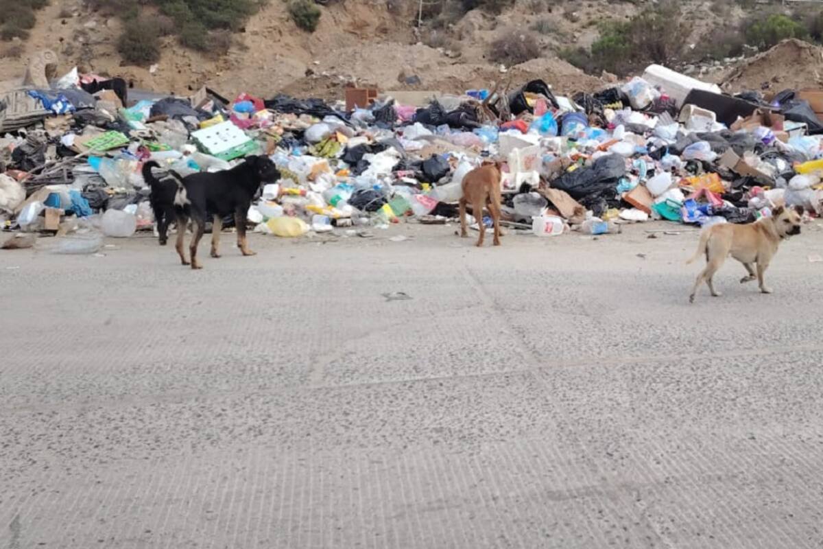 Fraccionamiento Los Encinos en Ensenada se convierte en un basurero