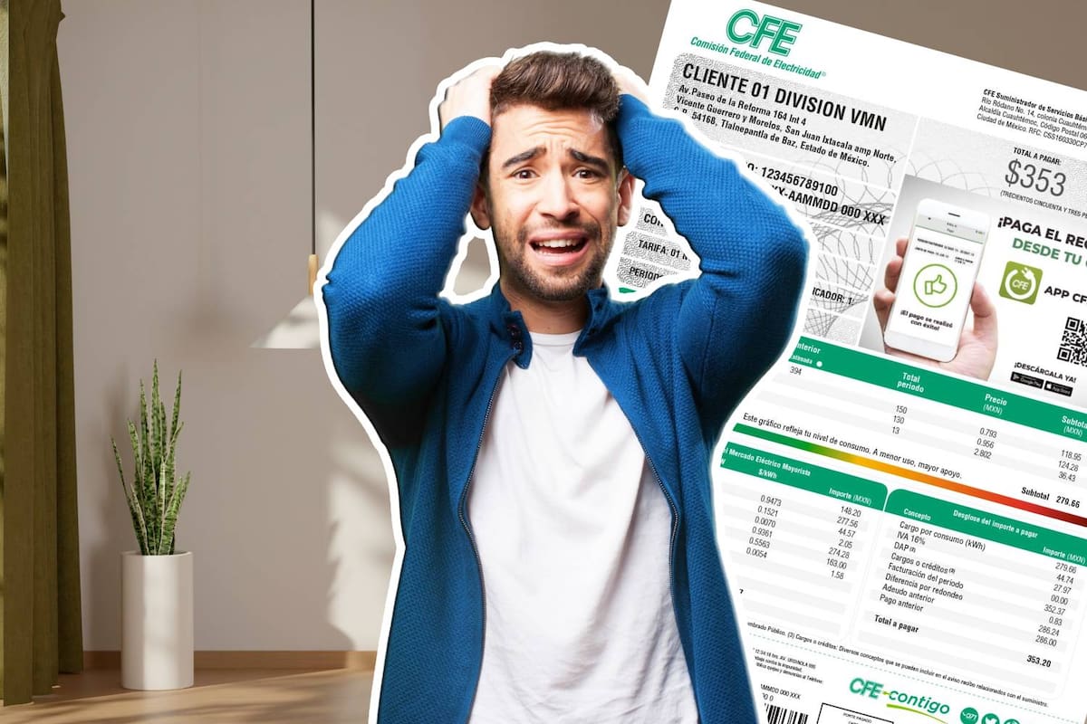 ¿Por qué puede multarte la CFE?