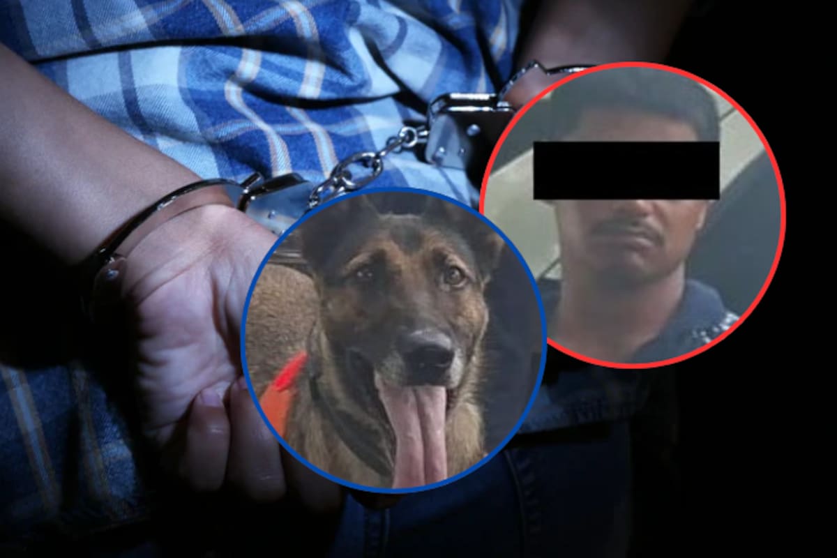Unidad K-9 de la PESP detiene a hombre con 10 envoltorios de metanfetamina en la colonia Solidaridad