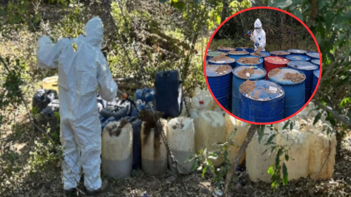 Localizan y destruyen 20 áreas de químicos y 3 laboratorios clandestinos en Culiacán y Cosalá; miles de litros de sustancias peligrosas fueron asegurados