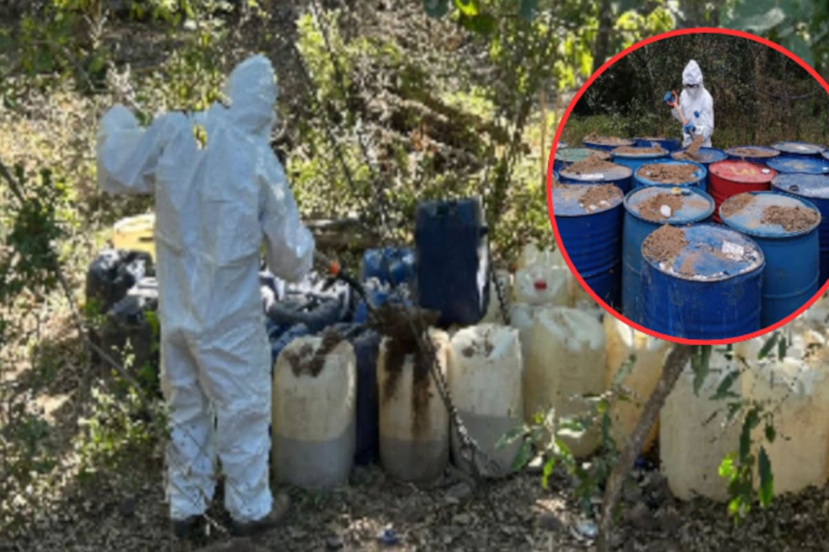 Localizan y destruyen 20 áreas de químicos y 3 laboratorios clandestinos en Culiacán y Cosalá; miles de litros de sustancias peligrosas fueron asegurados