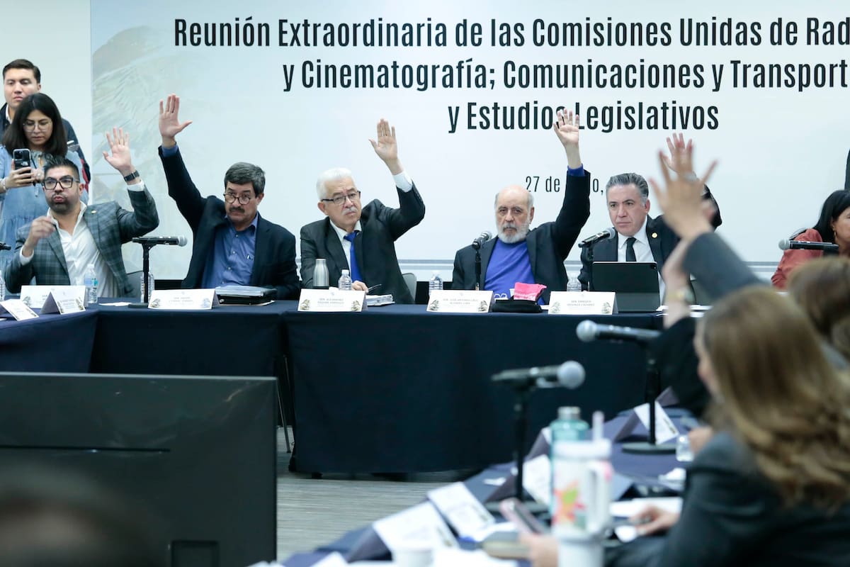 Foto: Senado de la República en X.