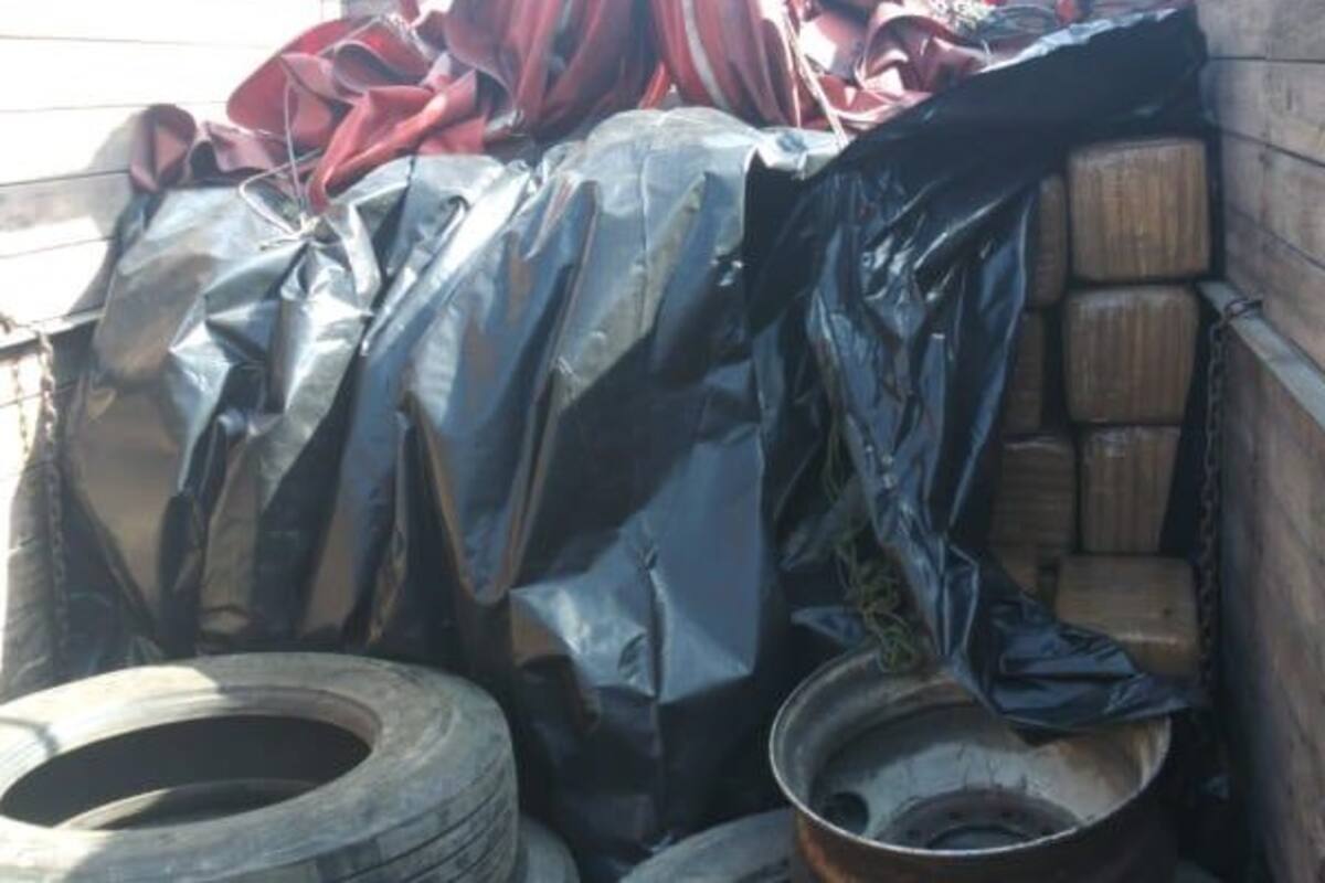 La Guardia Nacional aseguró en Nuevo León más de una tonelada de una sustancia similar a la mariguana
