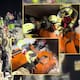 Ejército Mexicano rescata con vida a un menor atrapado entre los escombros tras seis horas de labores en La Guaira, una de las zonas más afectadas por los sismos en Venezuela