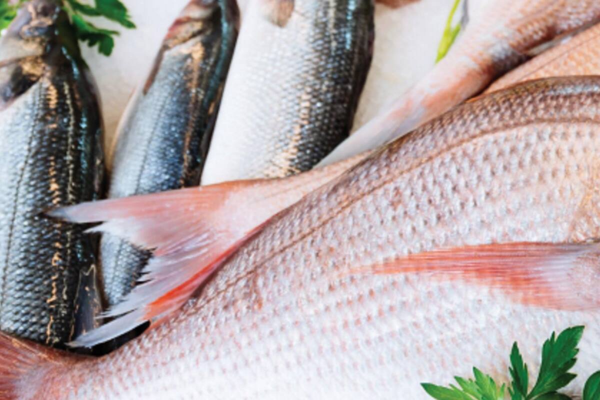 Denuncian venta de pescado chino como si fuera mexicano durante Cuaresma
