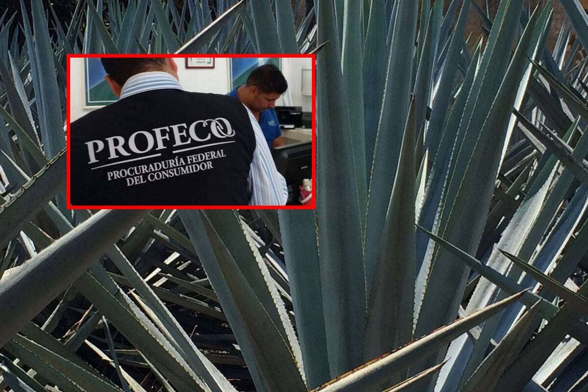Profeco señala a 4 marcas de tequila por incumplir estándares de calidad