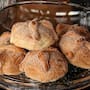 Festival del Pan de Muerto 2026 en CDMX: fechas, sede y todo lo que se podrá probar antes de Día de Muertos en el Museo Kaluz