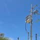 El calor obliga a suspender clases en primaria de SLRC tras falla eléctrica