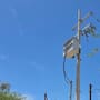 El calor obliga a suspender clases en primaria de SLRC tras falla eléctrica