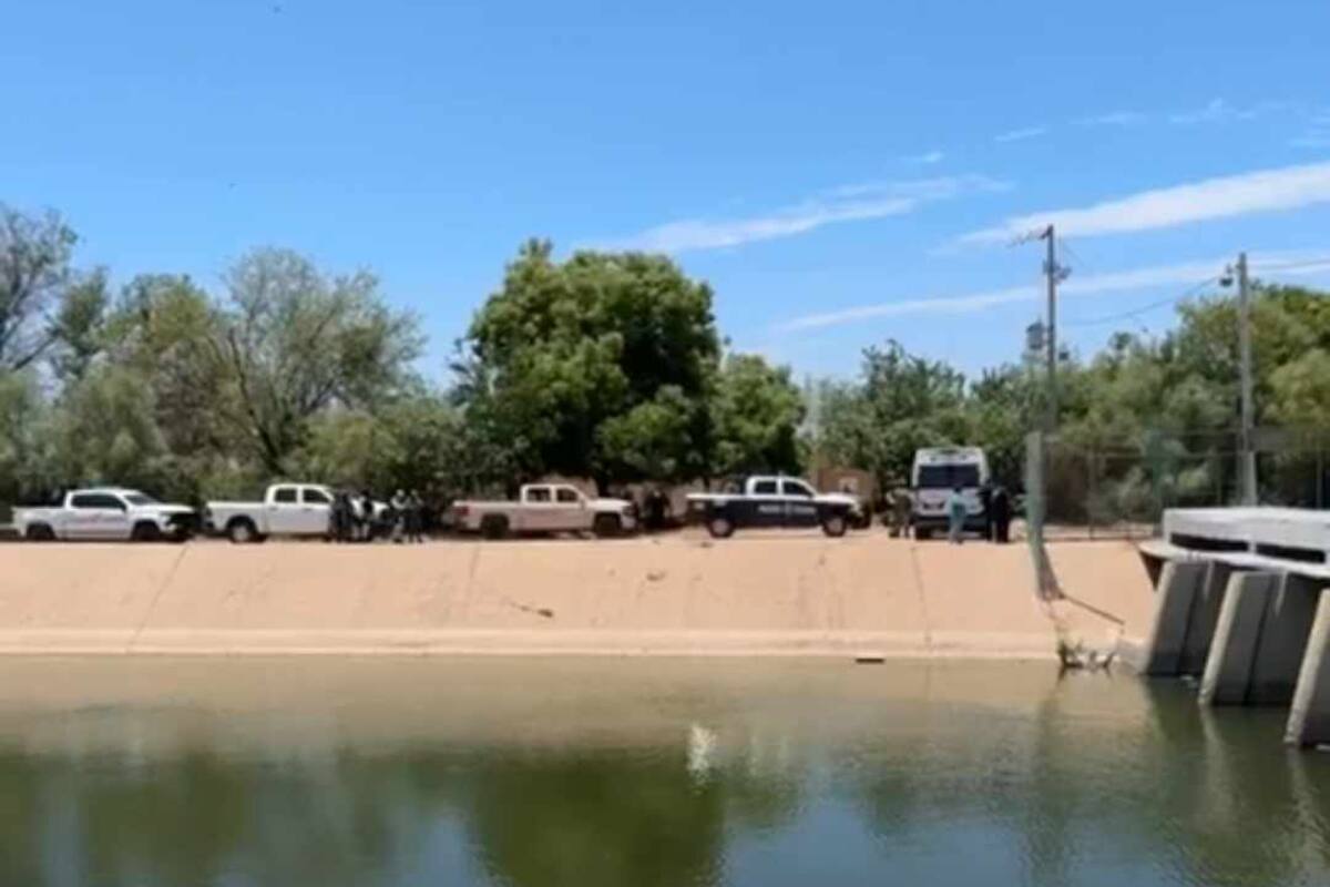 Flota cadáver en el canal bajo de Ciudad Obregón