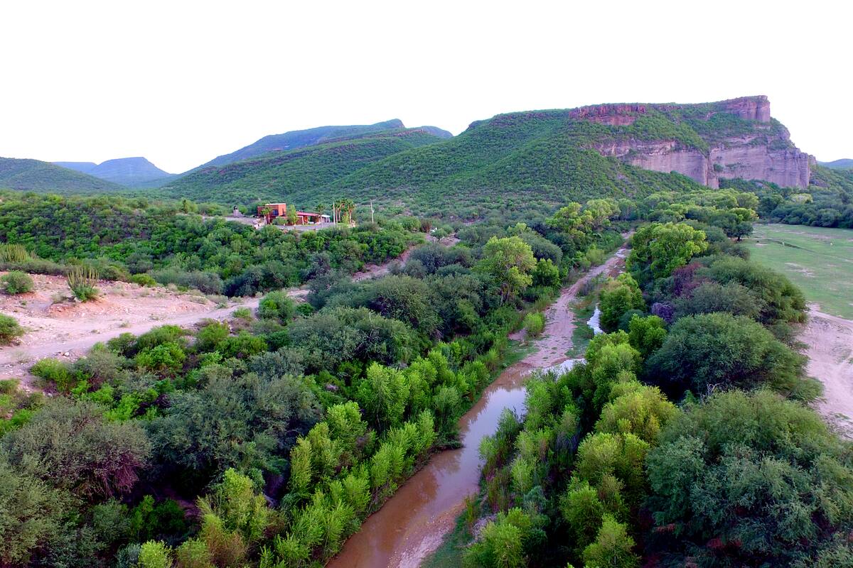Ocurrió segundo derrame en el Río Sonora el cual fue ocultado; Población consume agua con plomo, cadmio, mercurio y arsénico
