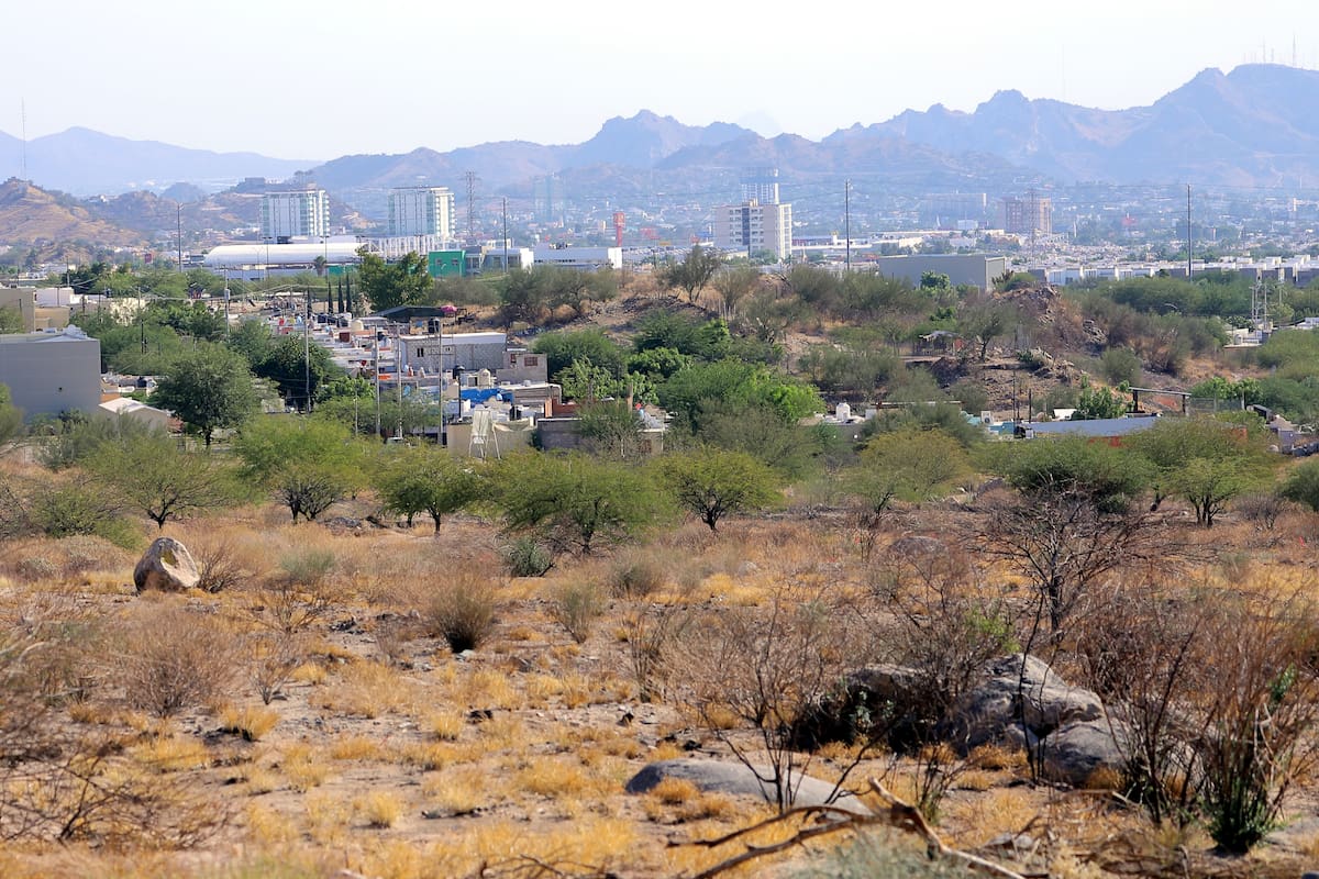 Una experiencia bajo la luna: anuncian jornada de senderismo gratuito en Hermosillo