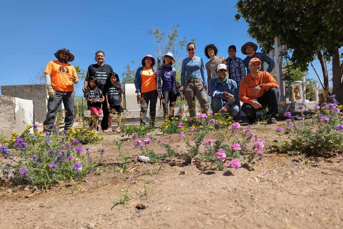 200 plantas polinizadoras fueron colocadas en el Parque Memorial