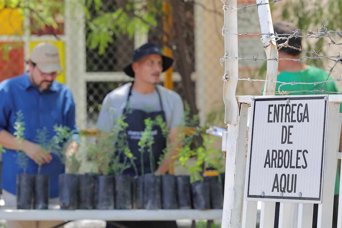 ¡Siembra vida! 500 árboles nativos serán entregados gratis este sábado en Hermosillo